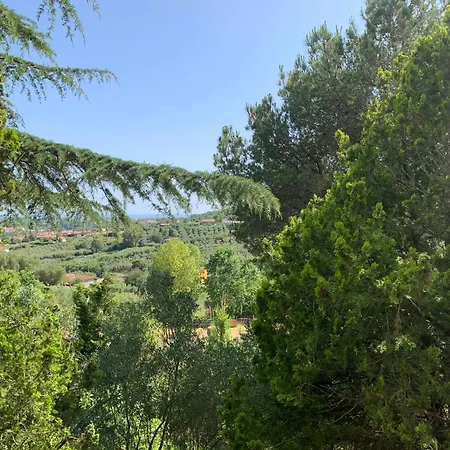 Panorama * Acquavella