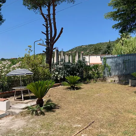Panorama * Acquavella